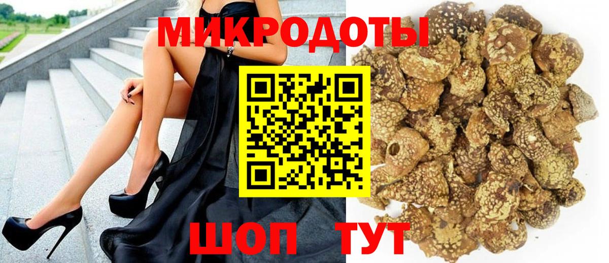 Псилоцибиновые грибы Psilocybe Белебей