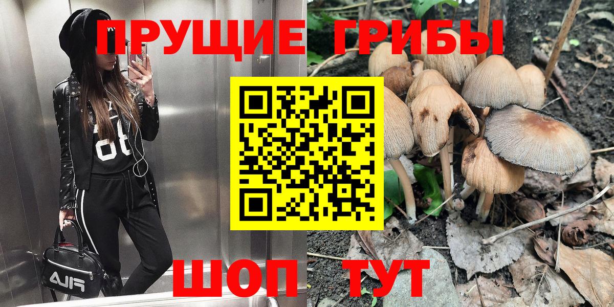 Галлюциногенные грибы Cubensis  Вход с VPN  Белебей  Галлюциногенные грибы мицелий 